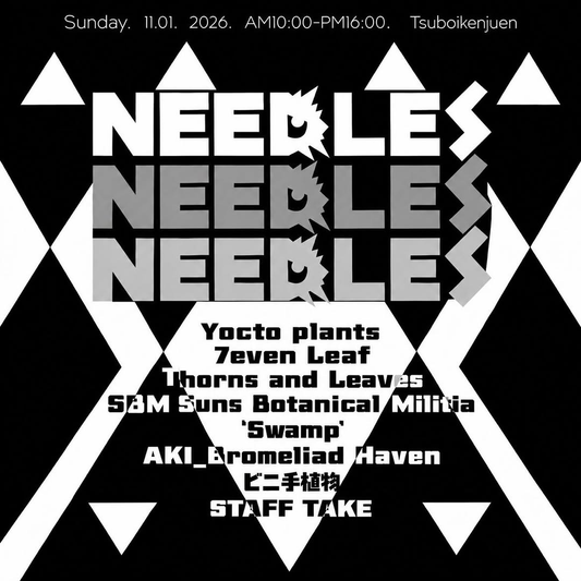 坪井健樹園で「DYCKIA EVENT NEEDLES」開催、国内ディッキアブリーダーが出店