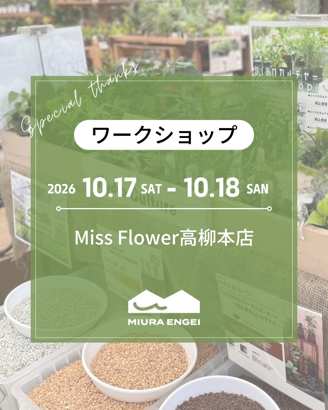 Miss Flower 本店でハイドロカルチャーワークショップを10月17日・18日に開催