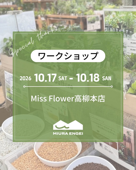 Miss Flower 本店でハイドロカルチャーワークショップを10月17日・18日に開催