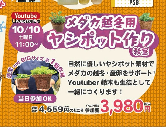 杜若園芸 生産直売店でメダカ越冬準備キャンペーンを10月10日から3日間開催