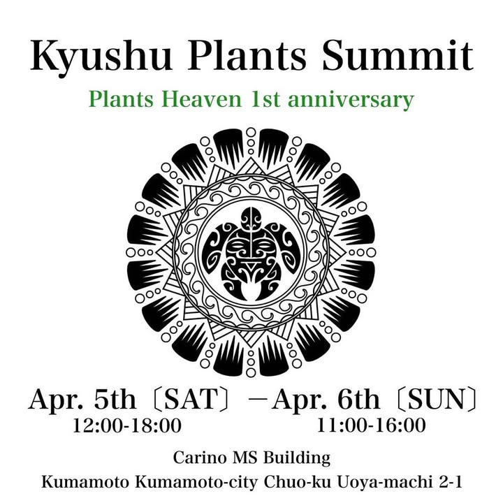 Plants Heavenが熊本でKyushu Plants Summitを開催、1周年記念の第三弾で植物や鉢などが集結