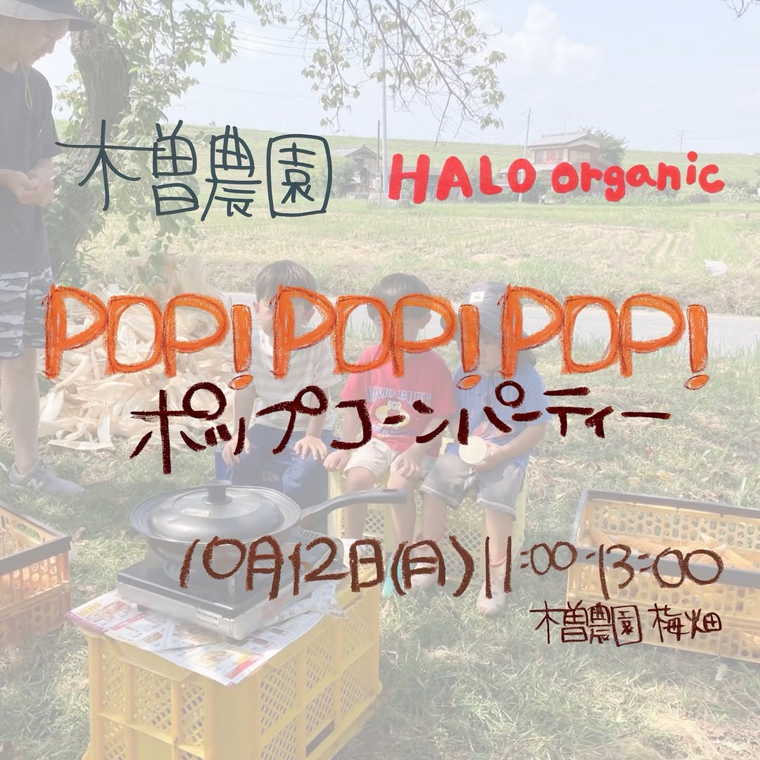 木曽農園でPOP!POP!POP!ポップコーンパーティー開催、HALO curryや野菜販売も
