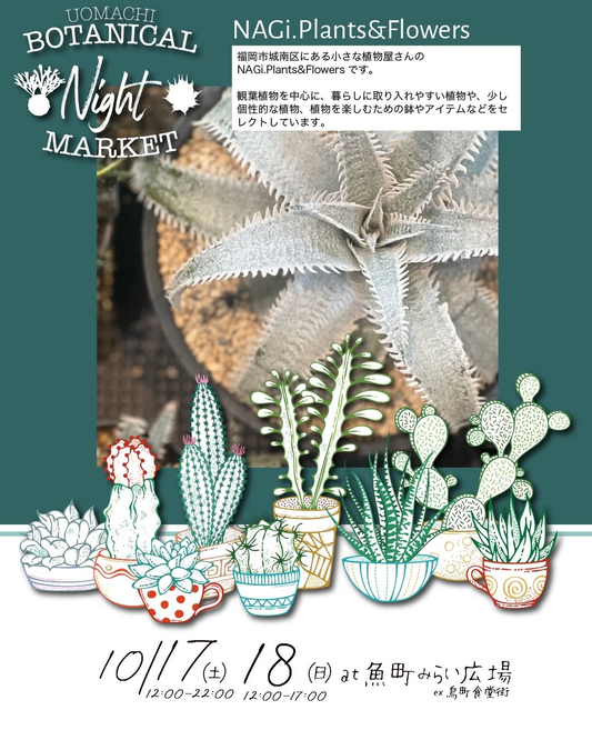魚町ボタニカルナイトマーケットを魚町みらい広場で10月17日・18日に開催