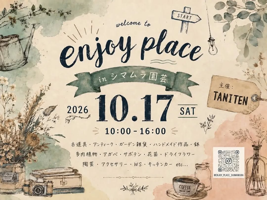 シマムラ園芸で「enjoy place 5th」10月17日開催 多肉植物や古道具などが出店