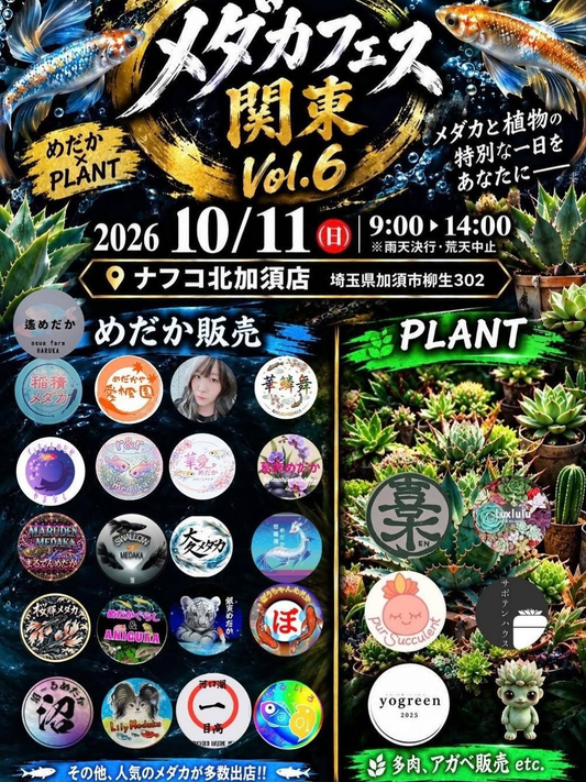 メダカフェス関東 Vol.6がナフコ北加須店で開催 めだか販売や植物の出展