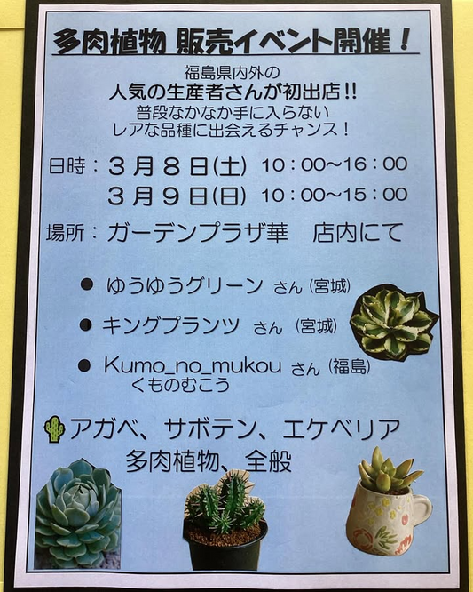 福島県ガーデンプラザ華で多肉植物販売イベント開催、人気生産者が出店