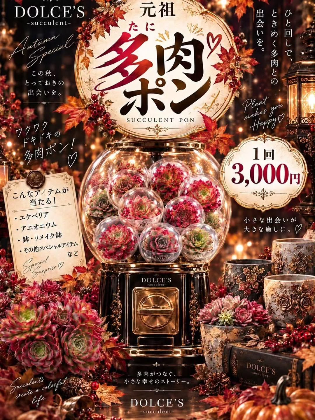 秋のPlants Party! DOLCE'S特別企画を10月17日・18日に開催