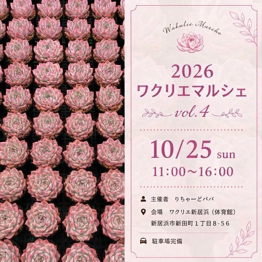 ワクリエマルシェ vol.4がワクリエ新居浜で10月25日に開催 多肉植物や雑貨を販売