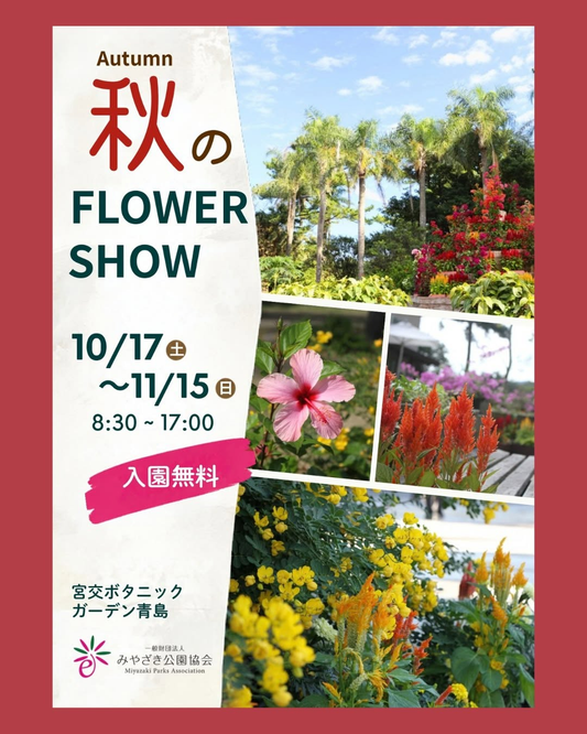 宮交ボタニックガーデン青島で「秋のフラワーショー」開催 10月17日から11月15日まで