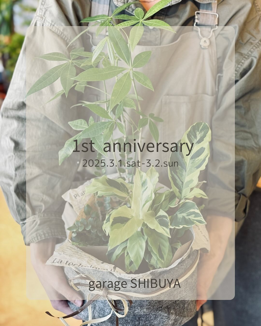 garage SHIBUYAが1周年記念、限定福袋販売やアプリ特典を実施