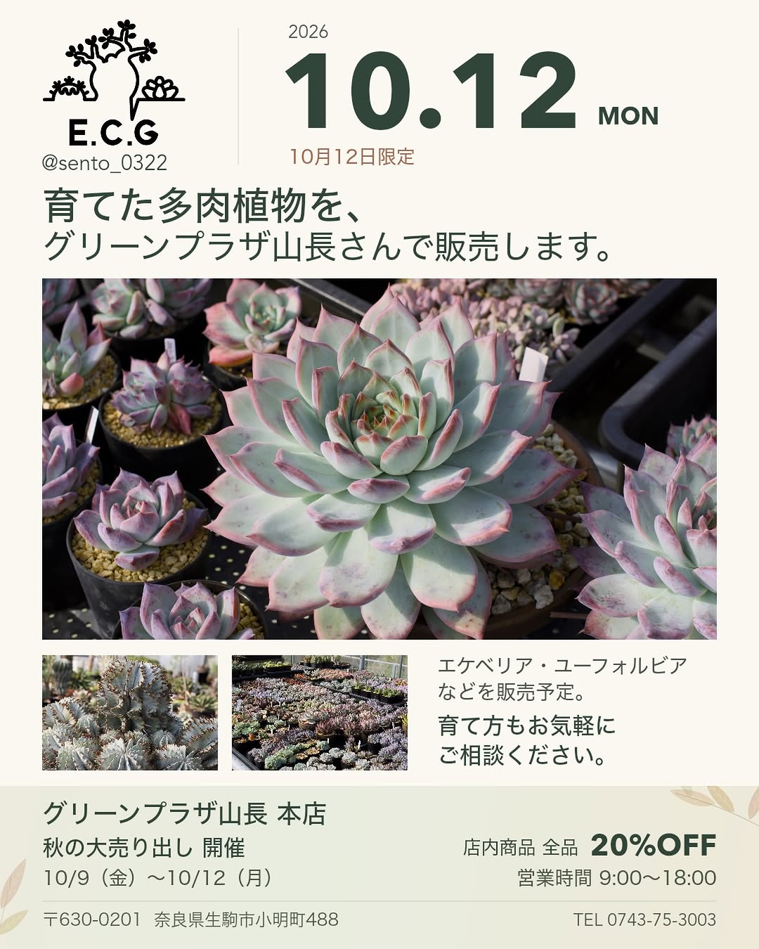 多肉邦さん専用 グリーンプラザ山長「秋の大売り出し」・10月12日限定 多肉植物販売を