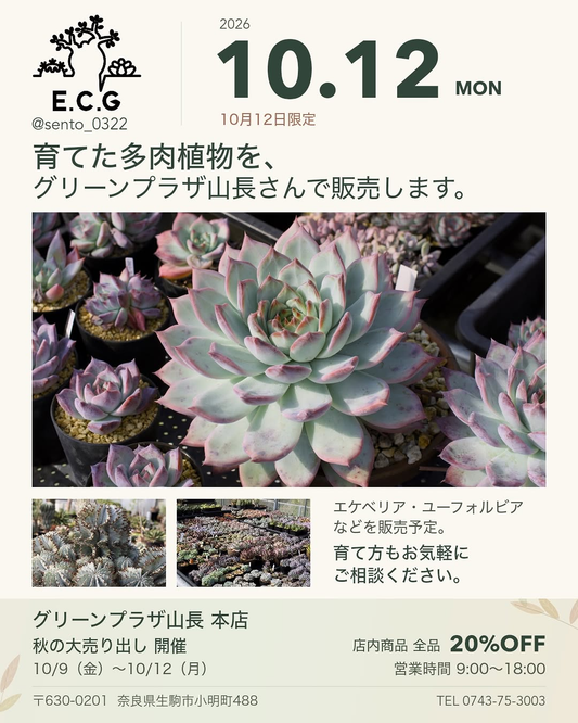 グリーンプラザ山長「秋の大売り出し」・10月12日限定 多肉植物販売を奈良県生駒市で開催