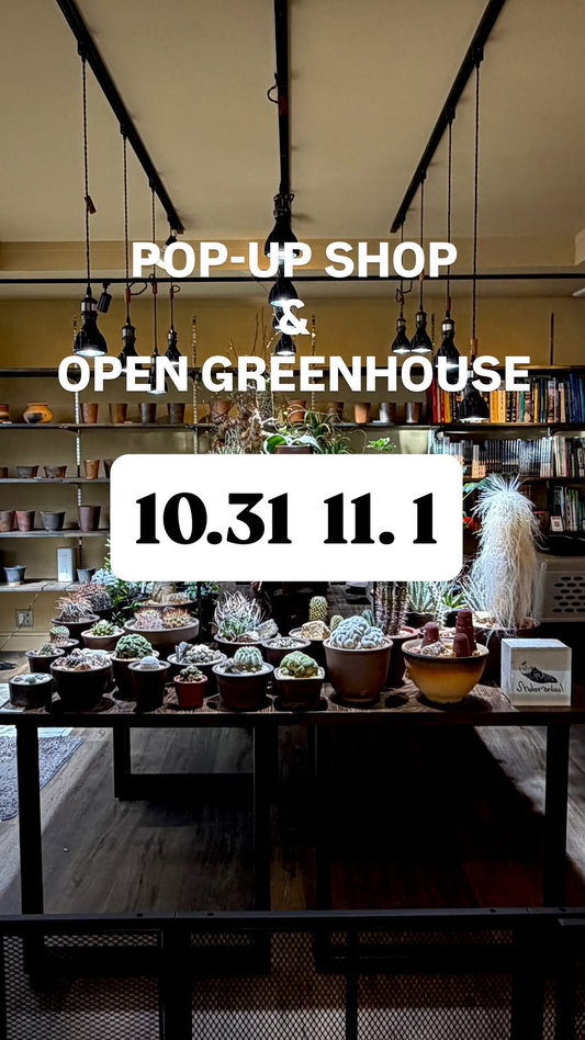 Shabomaniac! POP-UP SHOP & OPEN GREENHOUSEがサボるイヌで開催、植物の展示販売と温室特別公開