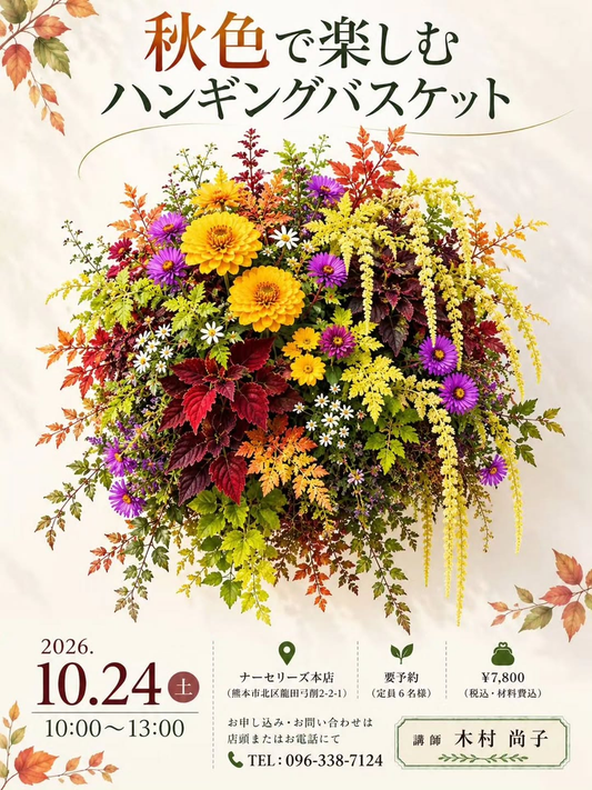 秋のハンギングバスケット寄せ植え教室がナーセリーズ本店で10月24日に開催、木村尚子氏が講師を担当
