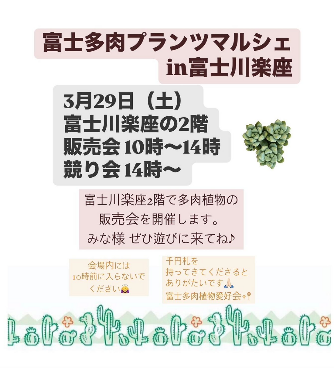 富士多肉プランツマルシェ2025開催、販売会と競り会で希少多肉が登場