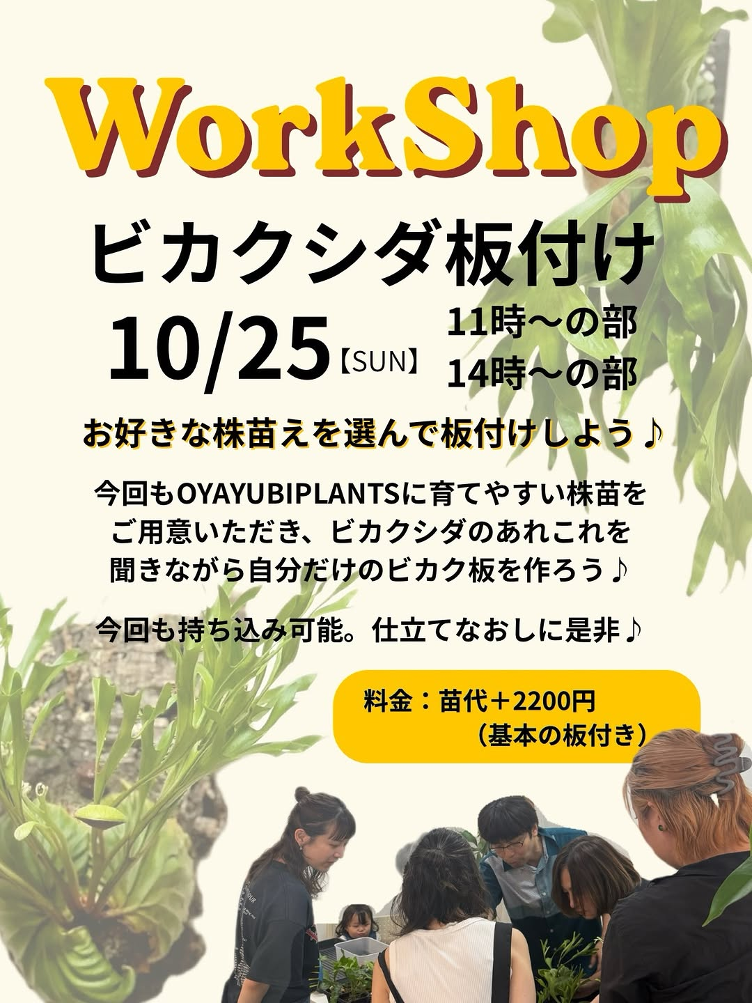 Leaf vein ビカクシダ板付けワークショップを2026年10月25日に開催