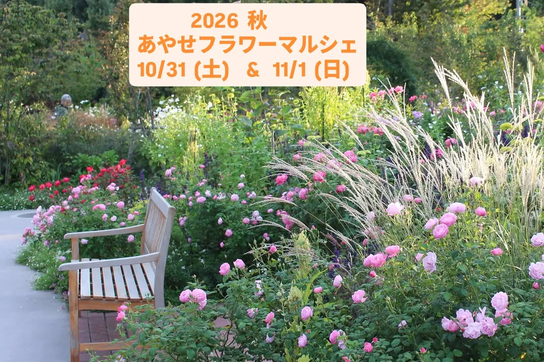 2026年 秋 あやせフラワーマルシェが綾瀬光綾公園で10月31日・11月1日に開催