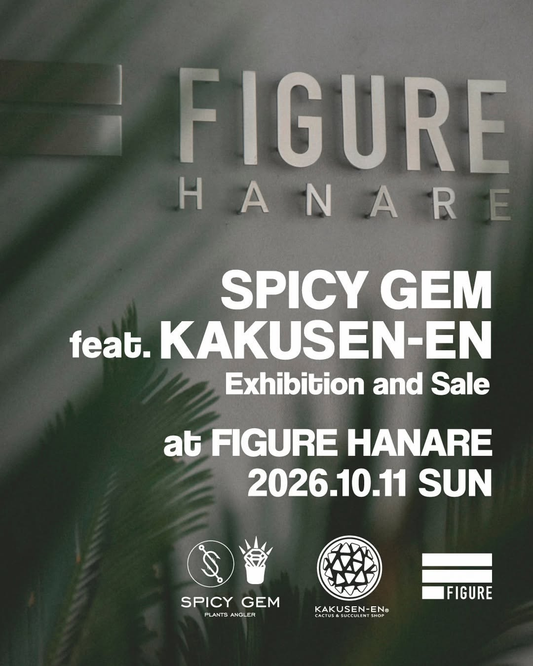 SPICY GEM feat. KAKUSEN-EN at FIGUREが10月11日にFIGURE HANAREで開催