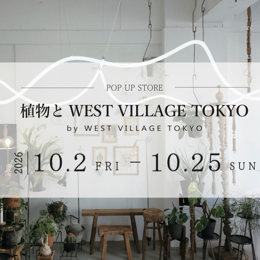 植物と WEST VILLAGE TOKYO POP UP STOREがgarage OSAKAで開催、10月25日までインテリアアイテムを販売