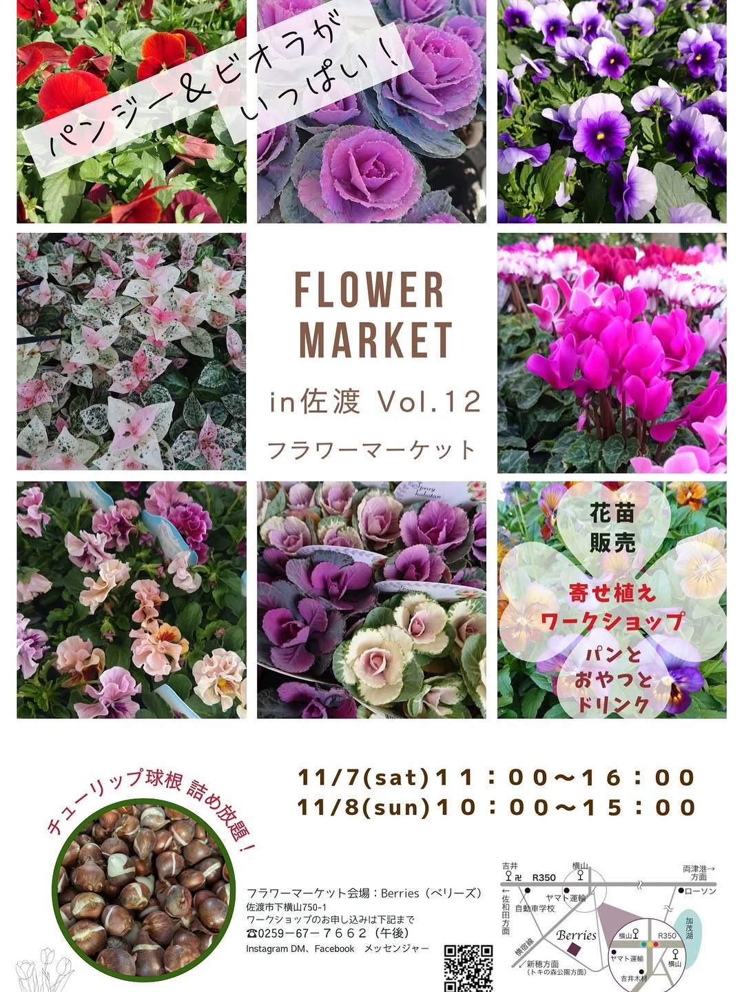 FLOWER MARKET in 佐渡 Vol.12が11月7日・8日にBerriesで開催、花苗販売や寄せ植えワークショップを実施