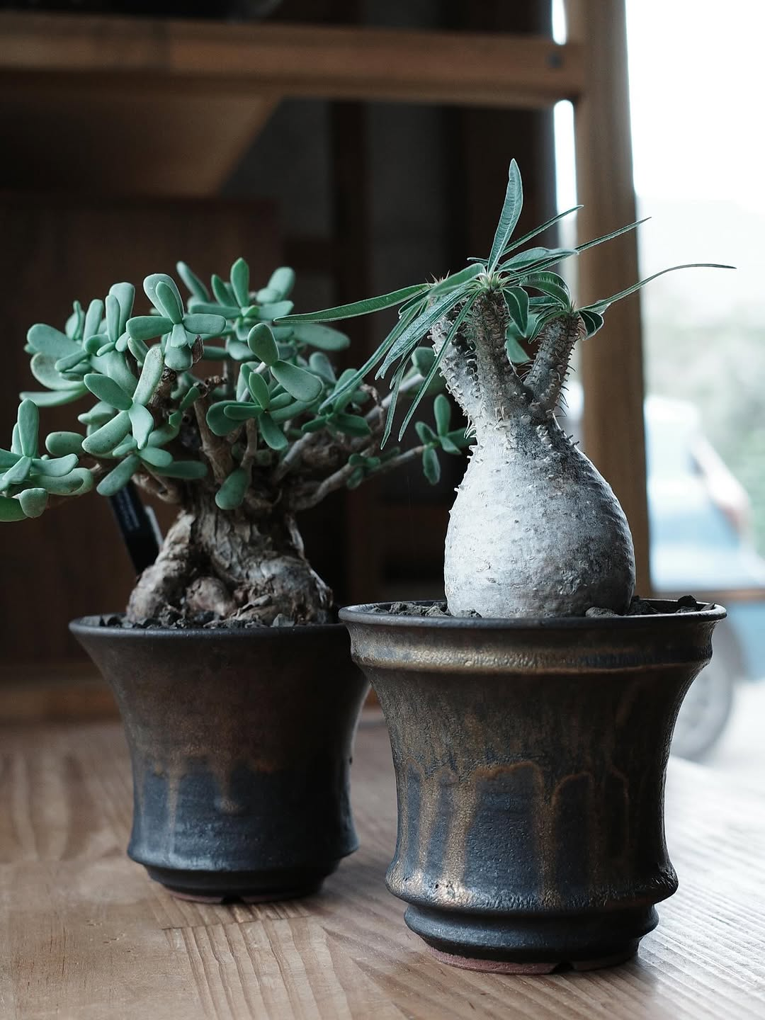 more COFFEE！more PLANTS！ 2026が10月21日から開催、コーヒーと植物をテーマに陶器や民具などが集結