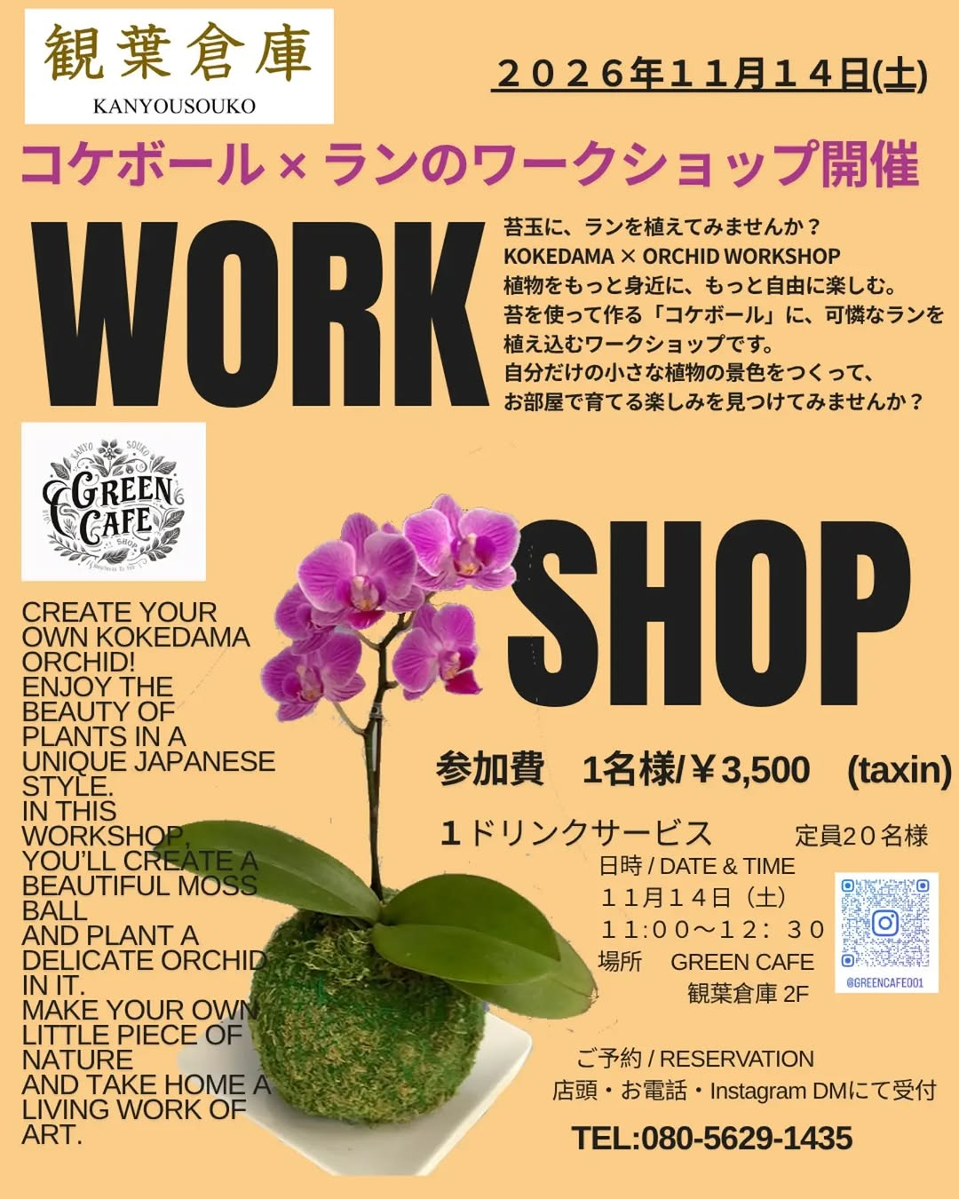 観葉倉庫「コケボール×ランのワークショップ」をGREEN CAFEで2026年11月14日に開催