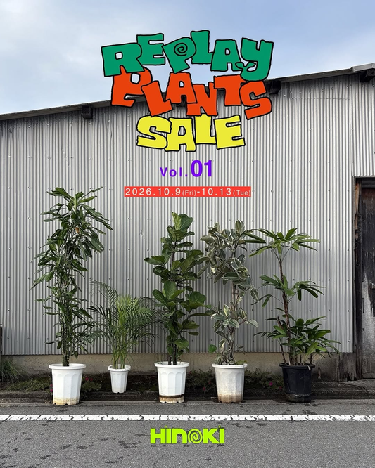 HINOKI Replay Plants SALE Vol.01（リプレイプランツセール）を2026年10月9日から開催