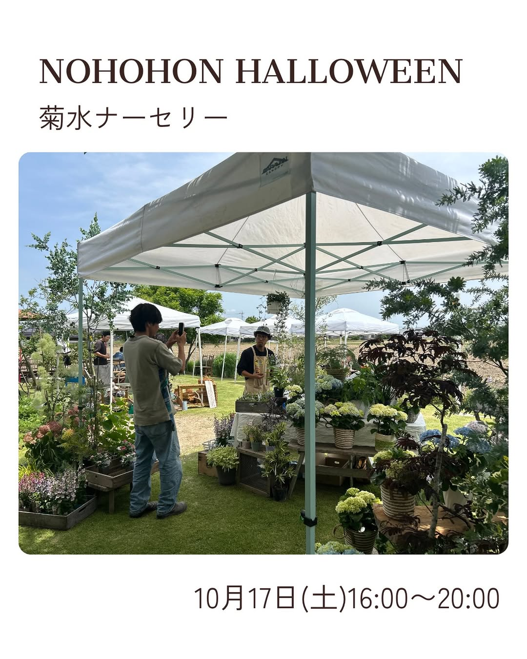NOHOHON HALLOWEENが野歩ほんで2026年10月17日に開催予定、菊水ナーセリーも出店