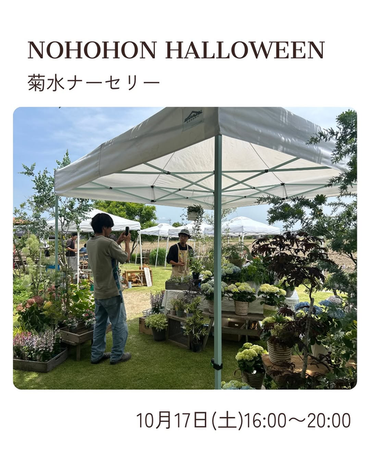 NOHOHON HALLOWEENが野歩ほんで2026年10月17日に開催予定、菊水ナーセリーも出店