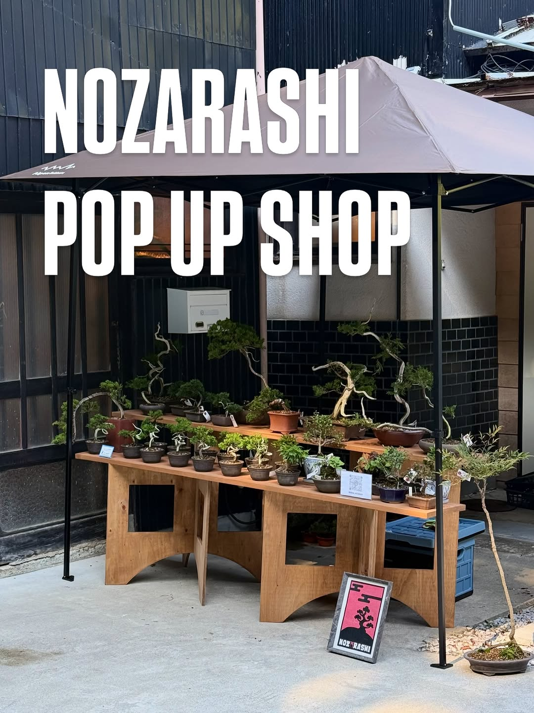 NOZARASHI BONSAI STORE POP UP EVENT｜金沢で盆栽・鉢のポップアップイベントを3日間開催