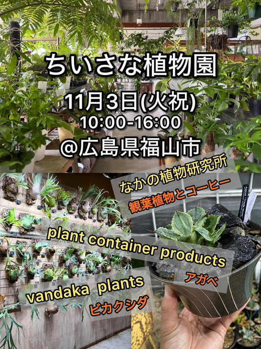 ちいさな植物園 vol.3が2026年11月3日に広島県福山市のなかの植物研究所で開催