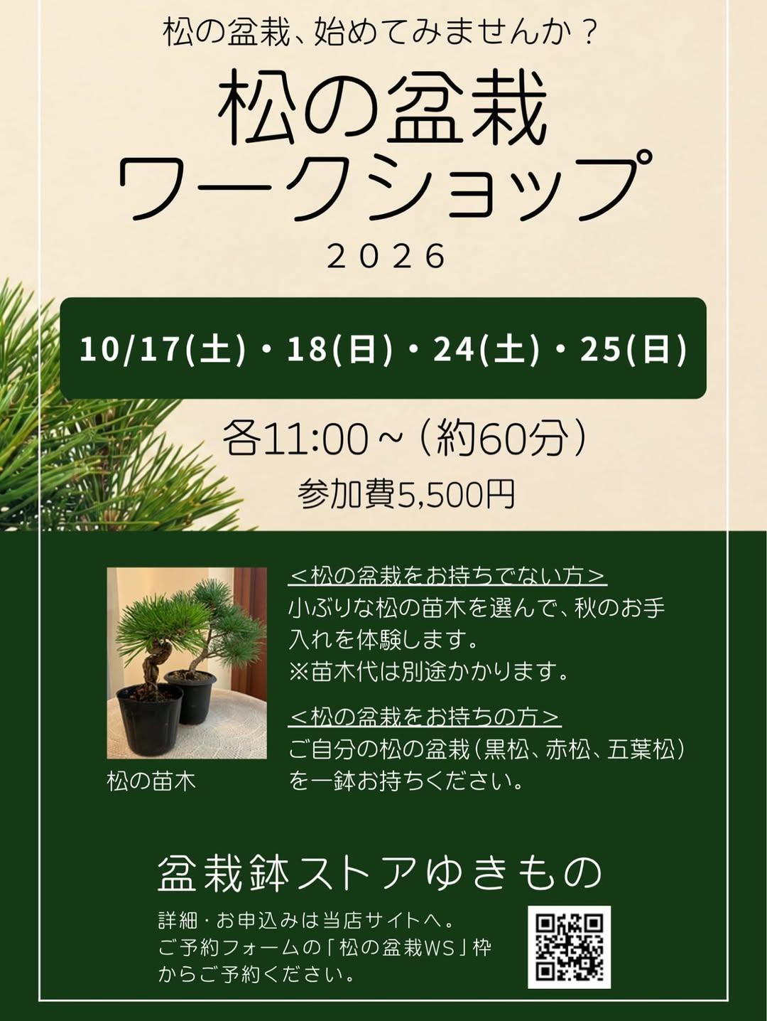 盆栽鉢ストアゆきもの「松の盆栽ワークショップ2026」10月17日・18日・24日・25日に開催