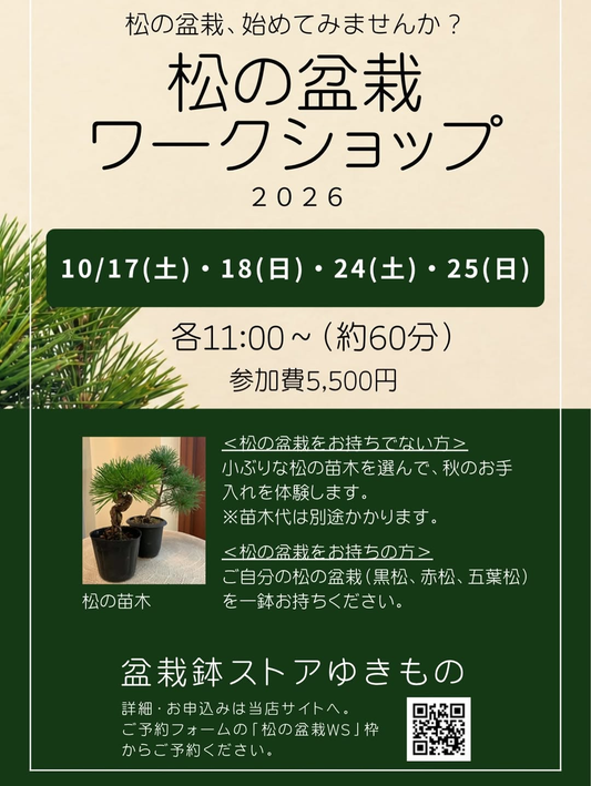 盆栽鉢ストアゆきもの「松の盆栽ワークショップ2026」10月17日・18日・24日・25日に開催