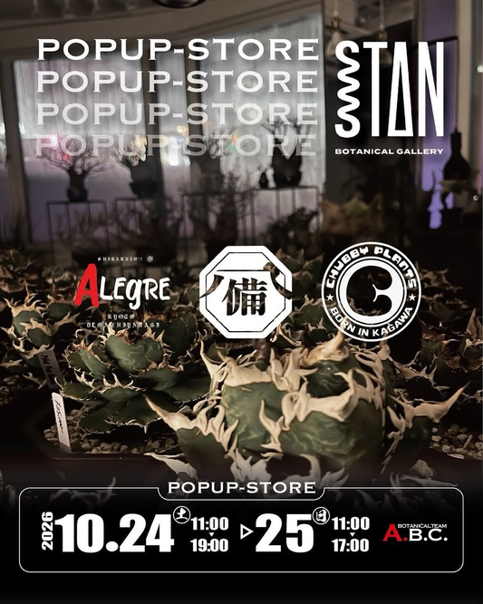 STAN BOTANICAL GALLERY 店内イベント開催 Team ABCスペシャルゲスト出演と2日間の日程を紹介