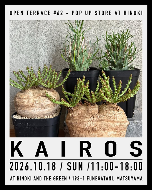 松山市のHINOKI and the greenで「OPEN TERRACE #62 - POP UP STORE AT HINOKI」開催、KAIROSが植物を販売