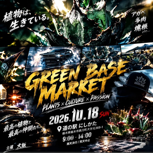 GREEN BASE MARKETが2026年10月18日に道の駅にしかたで開催、アガベや多肉植物などを取り扱い