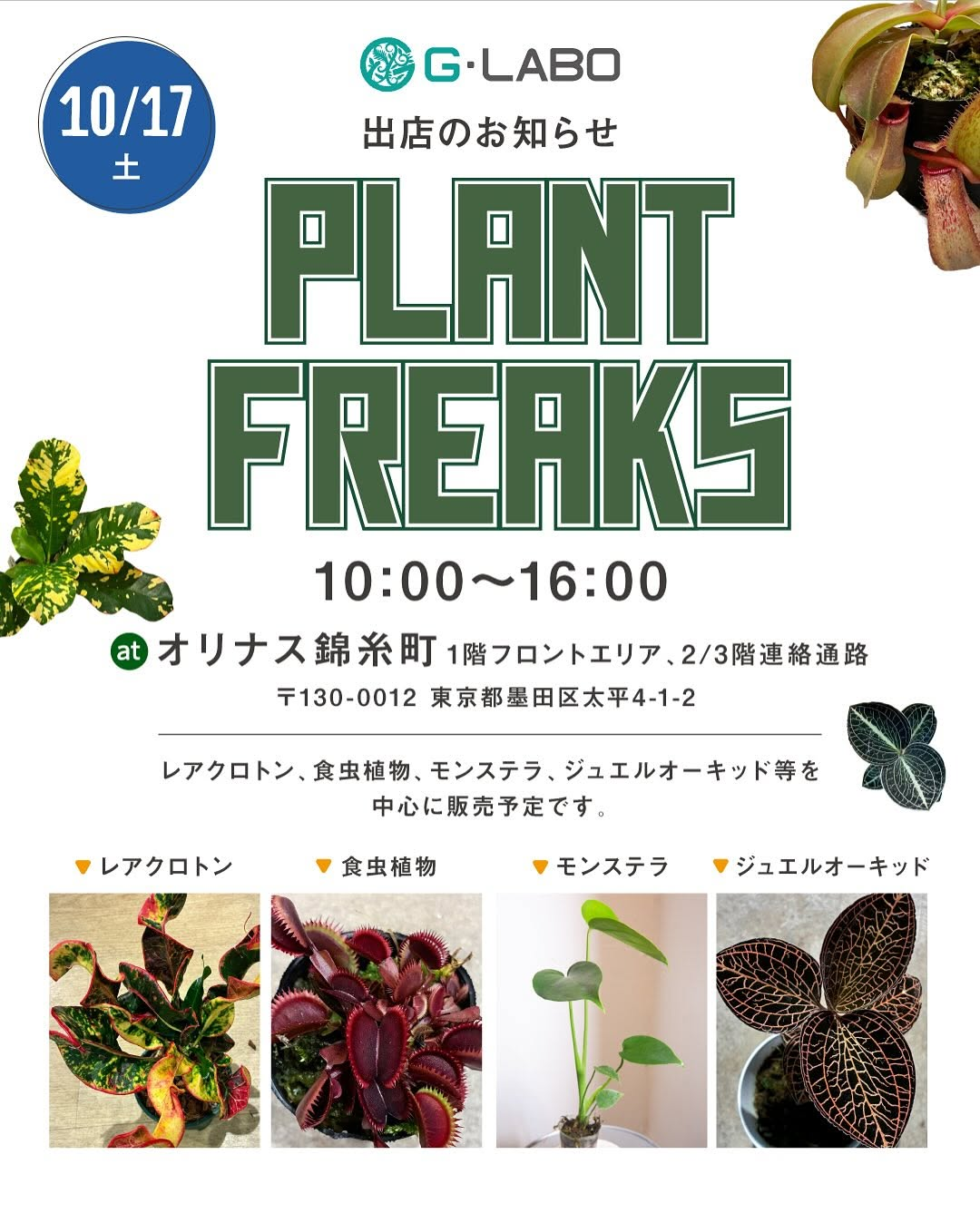 PLANT FREAKS 植物販売会が2026年10月17日にオリナス錦糸町で開催、G・LABOが植物や盆栽作品を販売