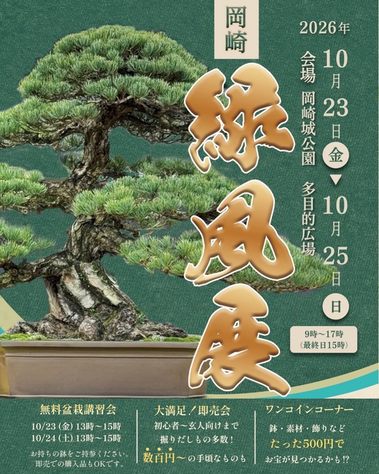 秋の緑風展が岡崎城公園で開催　盆栽即売会や500円コーナー、無料講習会を実施
