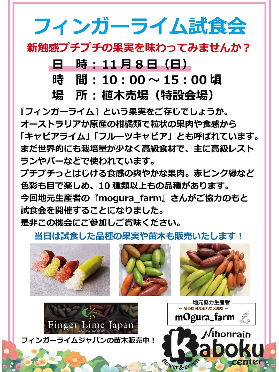 日本ライン花木センターで「フィンガーライム試食会」開催、品種の食べ比べと果実・苗木の販売