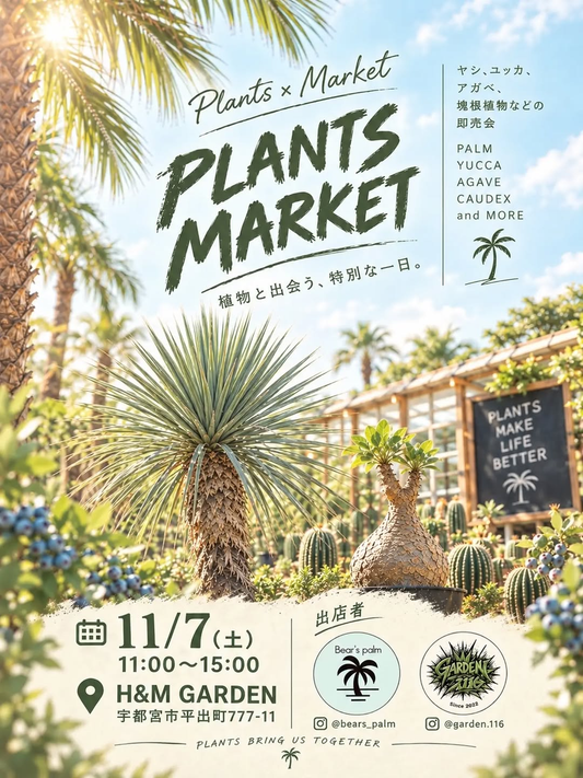 PLANTS MARKET（植物即売会）がH&M Gardenで2026年11月7日に開催、ヤシのAutumn Saleも実施