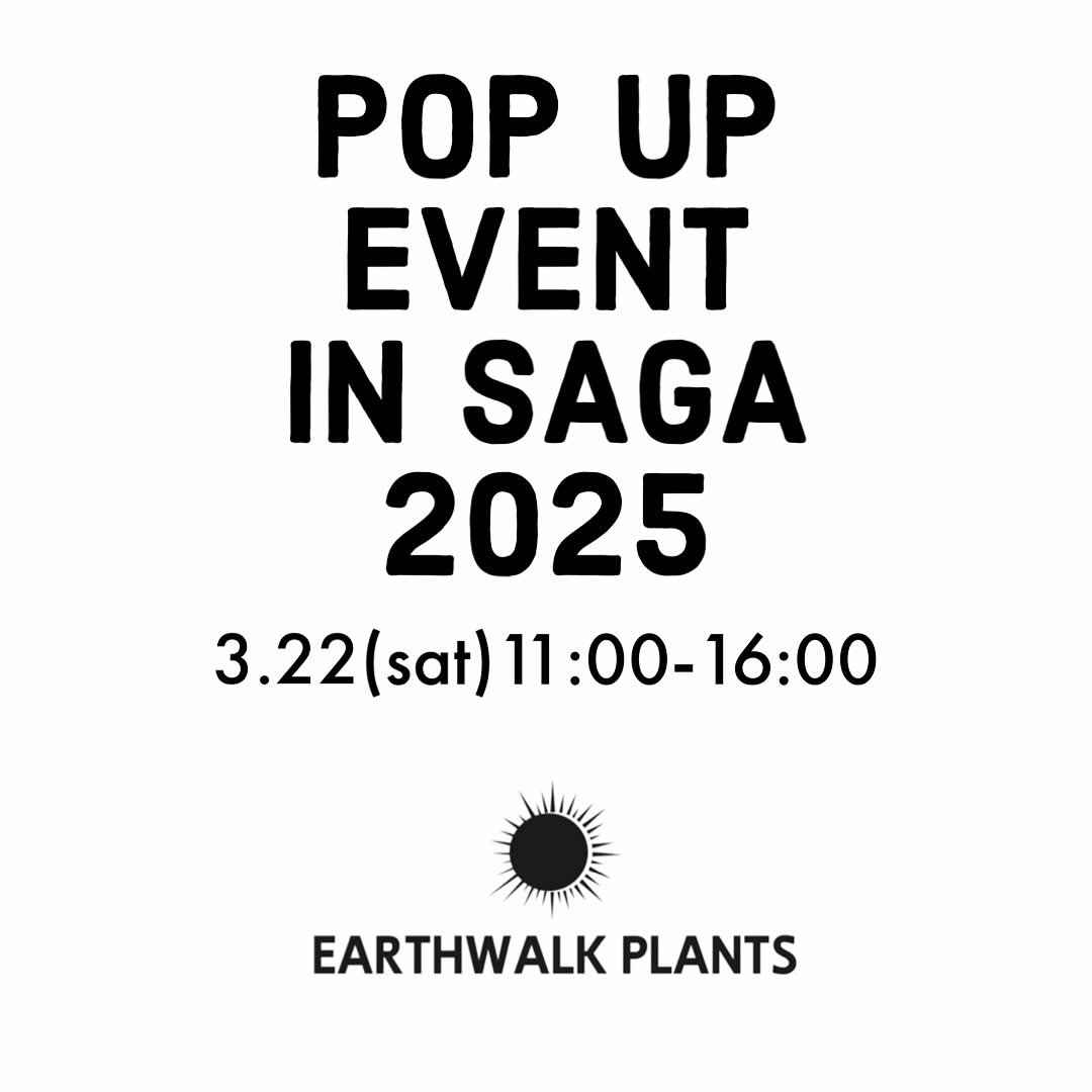 POP UP EVENT IN SAGA 2025