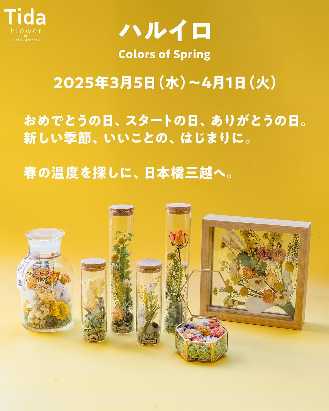 日本橋三越本店でドライフラワーイベント「ハルイロ Colors of Spring」開催、春の花々が日常に彩りを添える