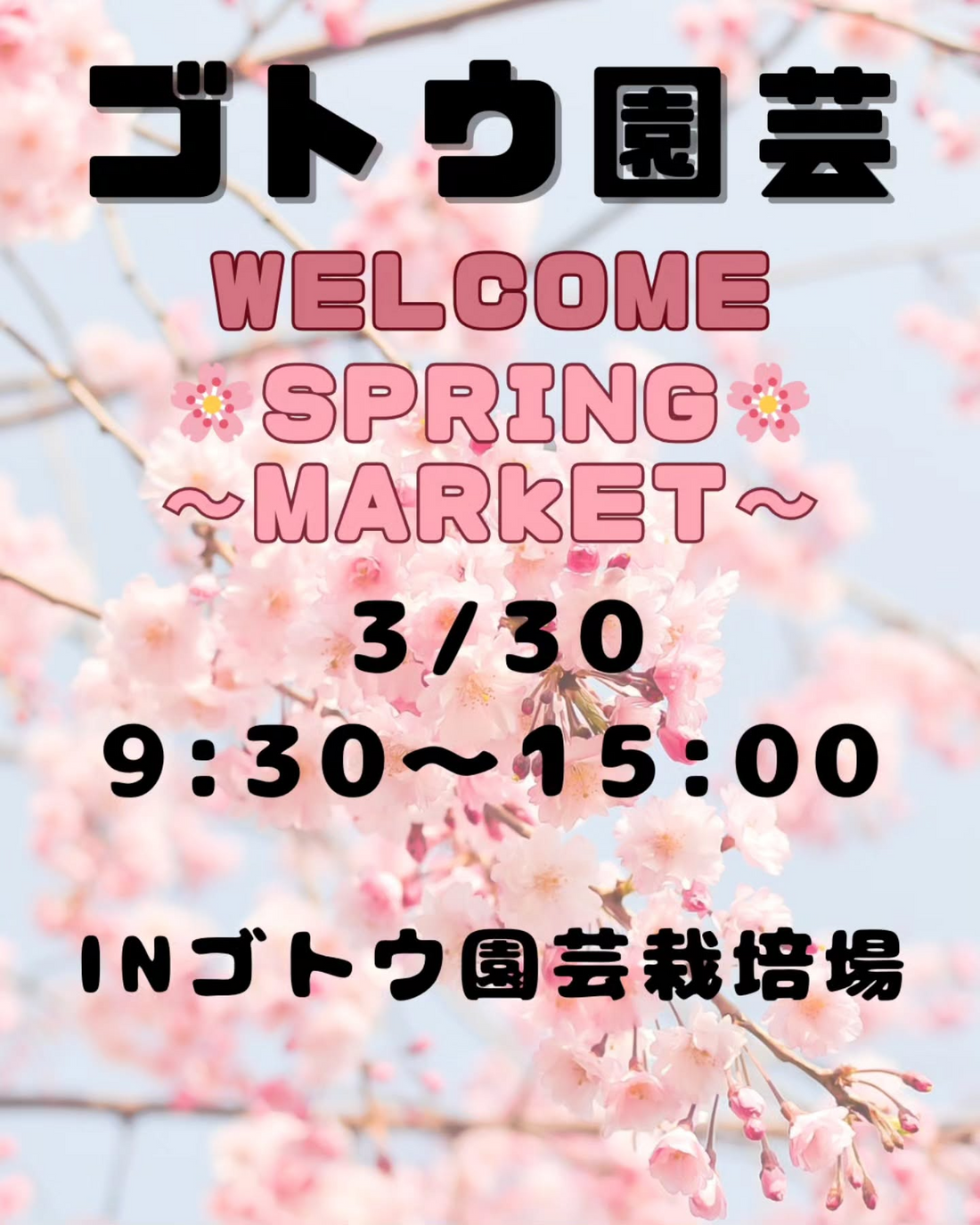 Welcome SPRING MARKET