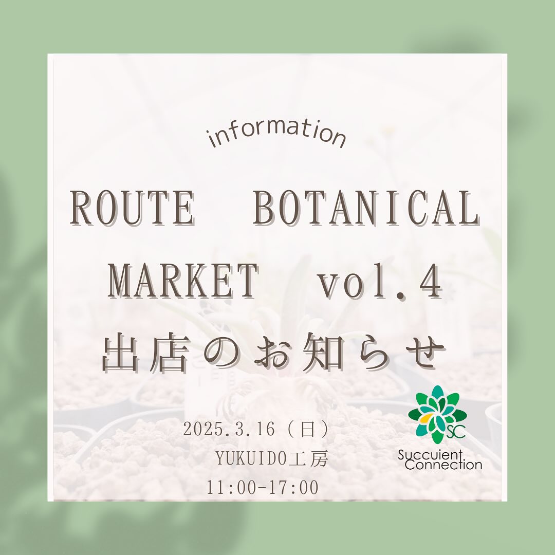 Succulent ConnectionがROUTE BOTANICAL MARKET vol.4に出店、状態の良い多肉植物苗を3月16日限定で販売