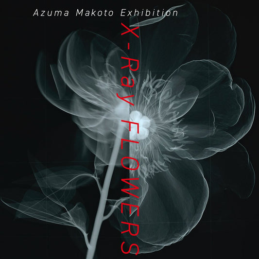 京都新聞とAMKKがX-Ray Flowers展覧会を開催、植物のX線撮影作品とAlgiersのライブパフォーマンスが融合