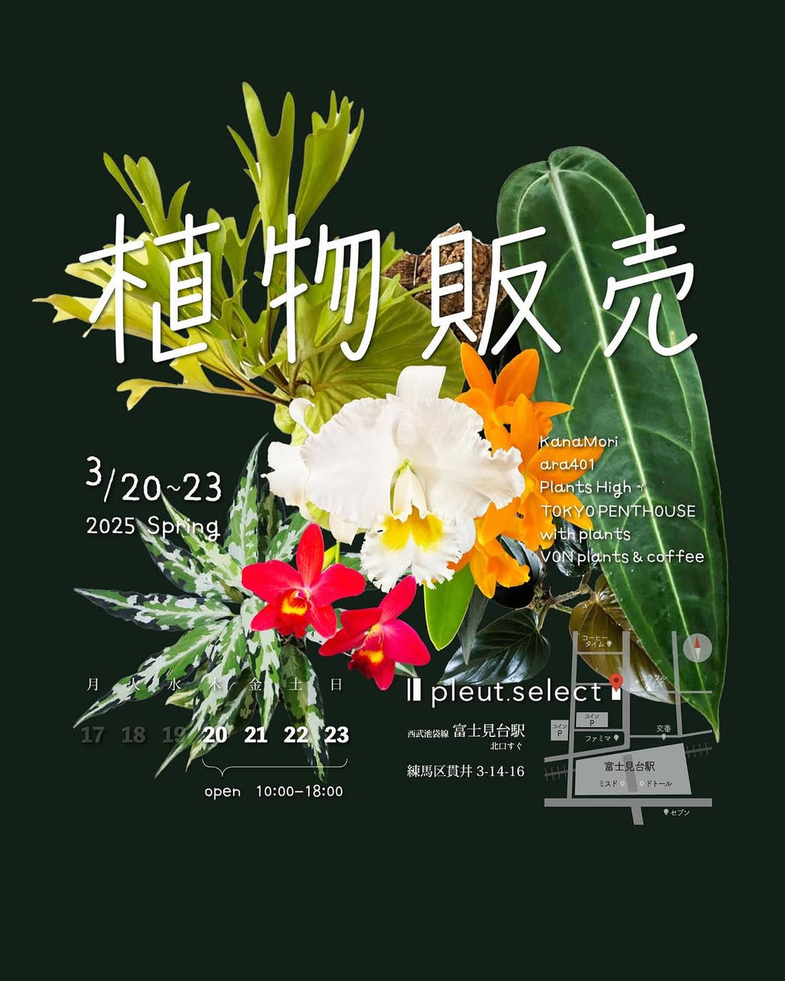 Il pleut.selectが富士見台駅近くで植物販売イベントを開催、多彩な植物愛好家が集結するアットホームな空間に