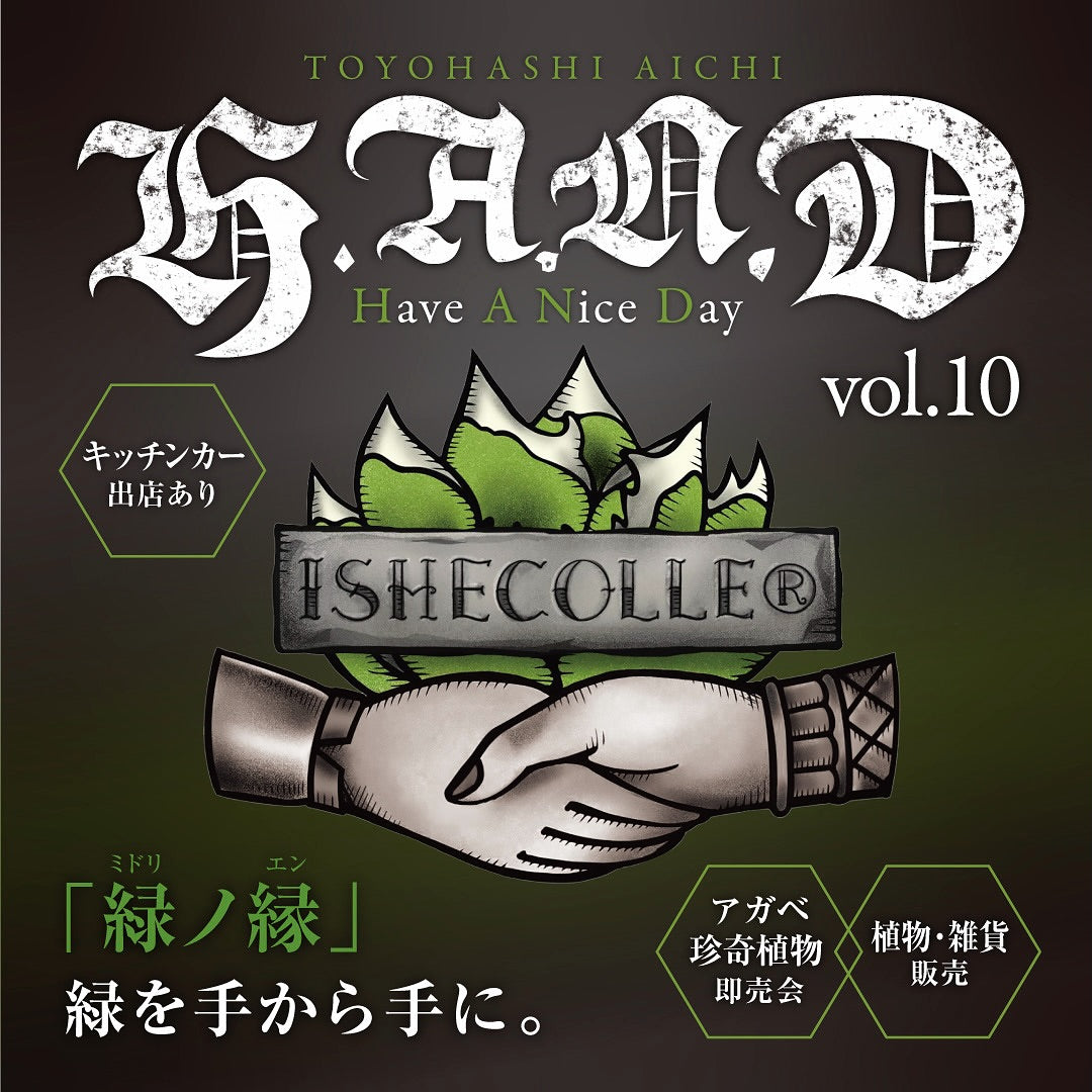 豊橋市でH.A.N.D vol.10アガベイベントが開催、記念の10回目で限定ガチャが初登場