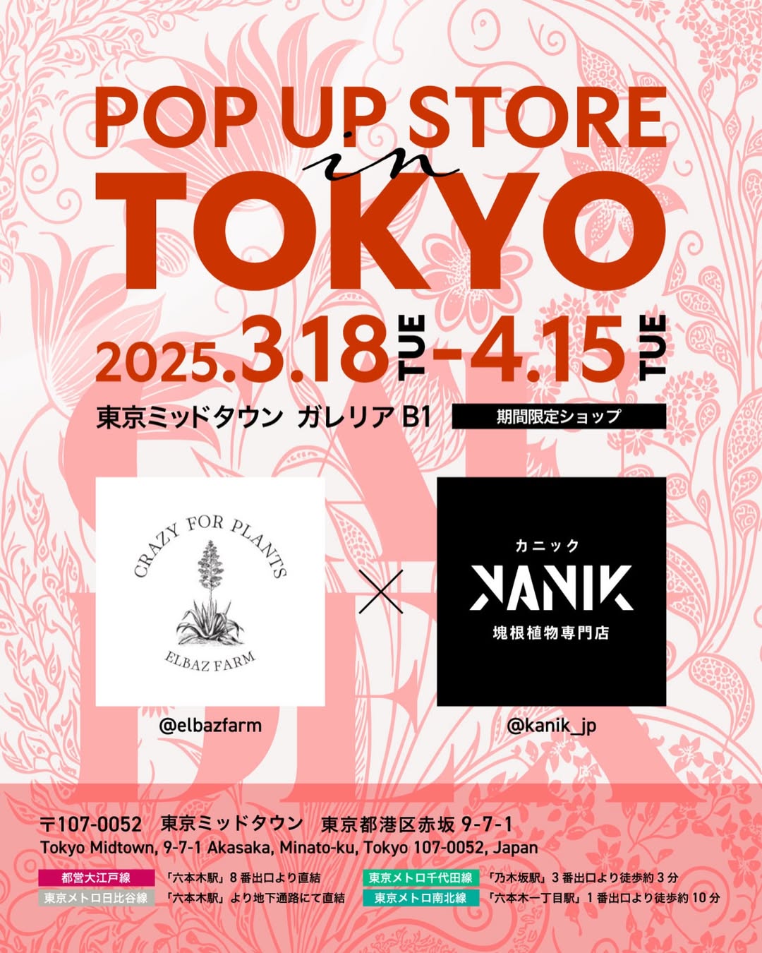 POP UP STORE in TOKYO