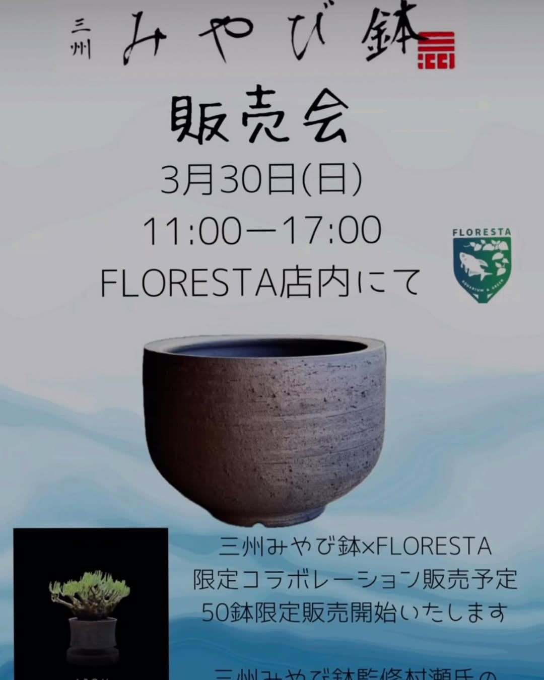 三州みやび鉢×FLORESTA みやび鉢販売会