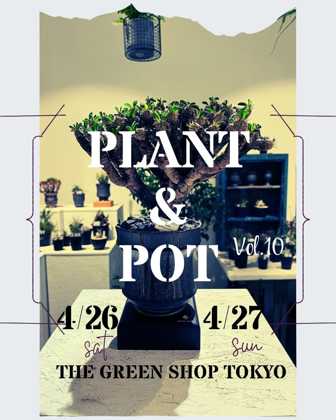 Plant & Pot vol.10が東京で初開催、塊根植物と特別な鉢の販売イベントが植物愛好家に新たな体験を提供